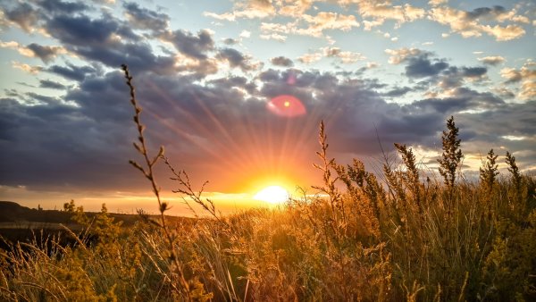 Закат солнца в степи