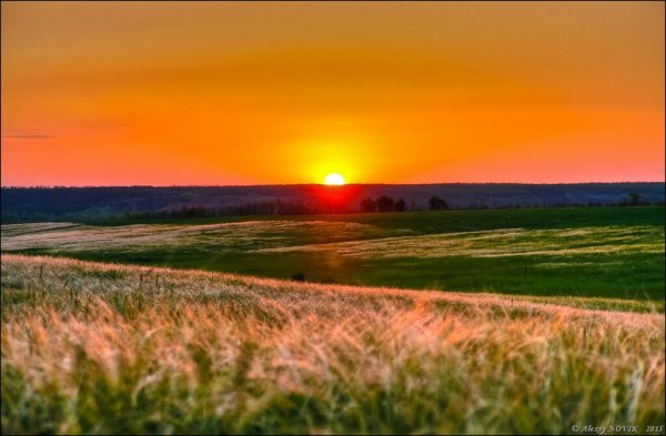 Красивый закат в поле