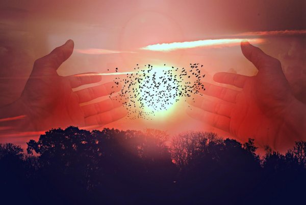 Солнце в руках