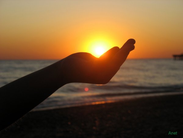 Солнце на ладони