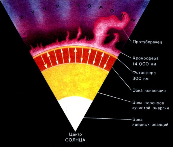 Солнце в разрезе