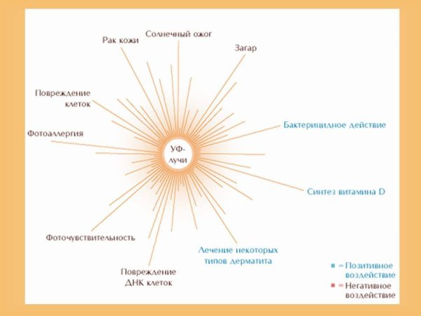 Влияние активности солнца на человека