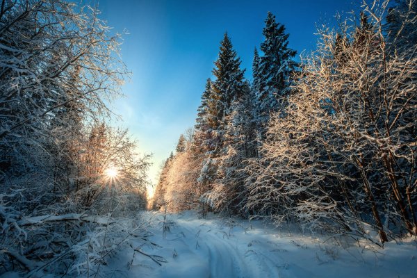 Лапландия Финляндия природа