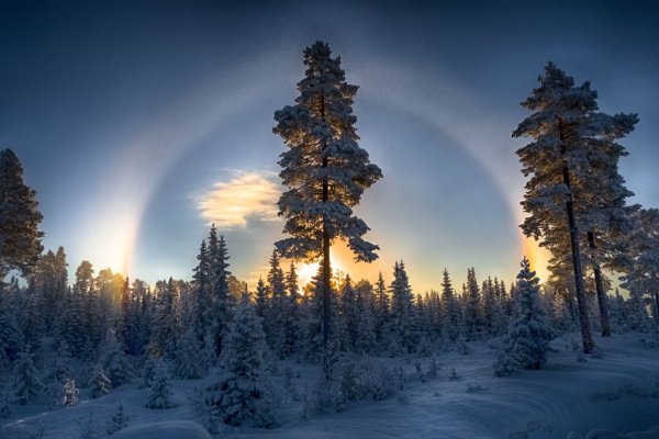 Красота зимы
