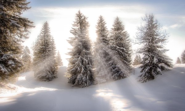 Зимний пейзаж