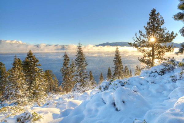 Зимний лес панорама