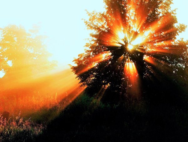 Лучи солнца