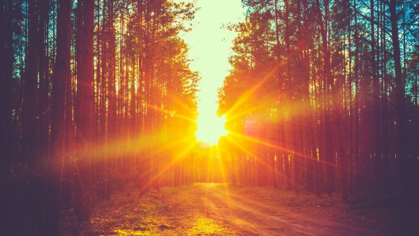 Яркое солнце