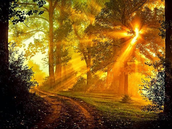 Свет солнца