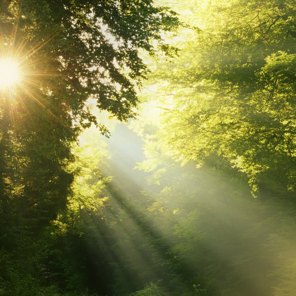 Природа солнце