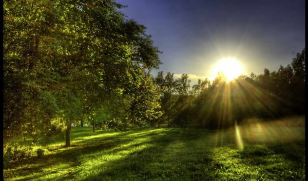 Природа солнце