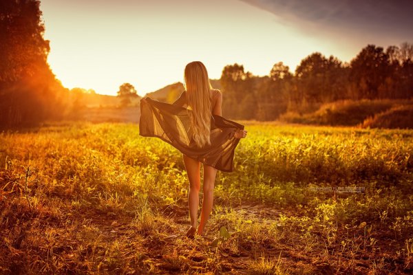 Красивый силуэт девушки