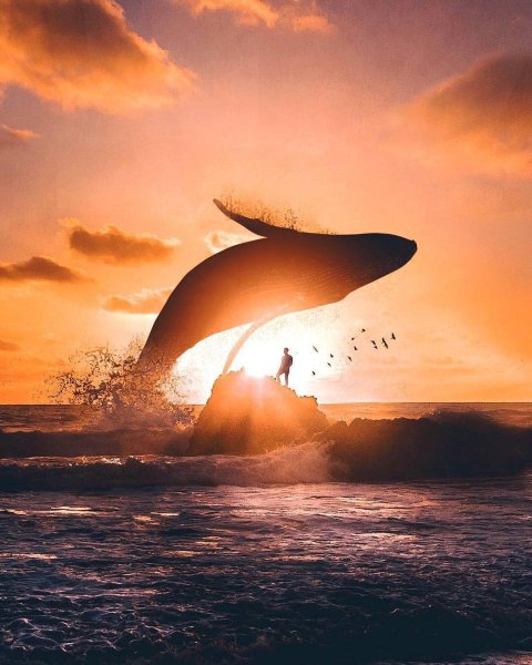 Мир иллюзий Рональда Онга