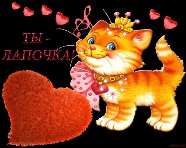 Стикеры для любимого