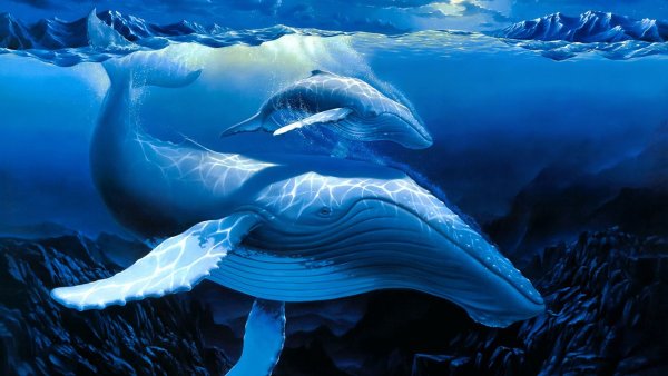 Хвост кита на закате