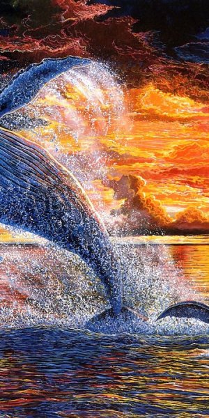 Касатка арт