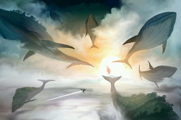 Обои на рабочий стол киты