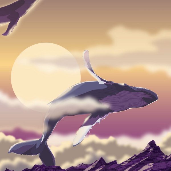 Хвост кита на закате