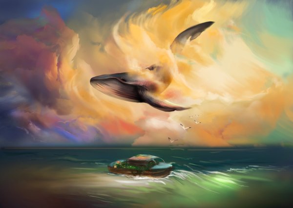 Касатки в море на закате