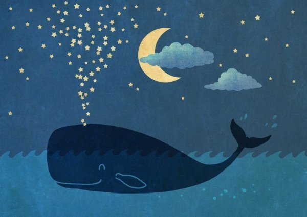 Кит и радость