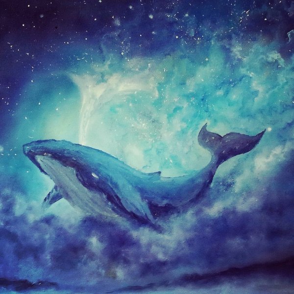 Хвост кита на закате