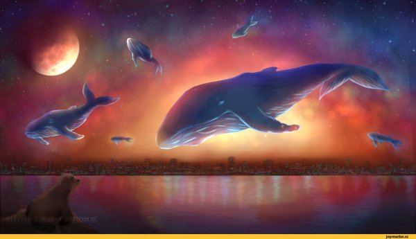 Веселый кит