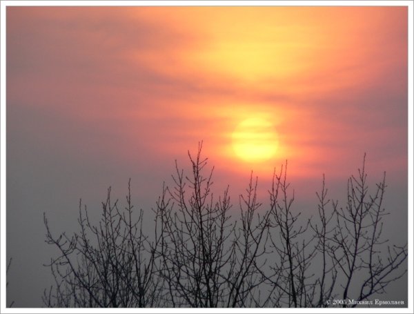 Солнце в погоне