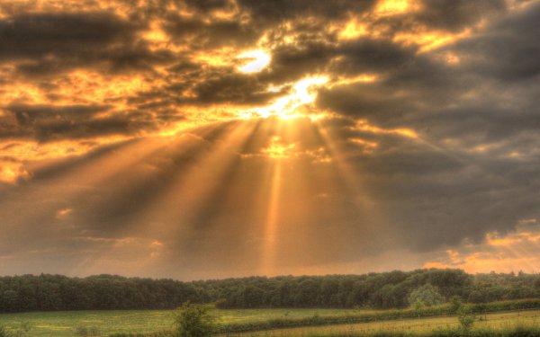 Дорога к свету