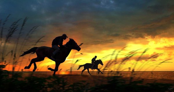 Афоризмы про солнце