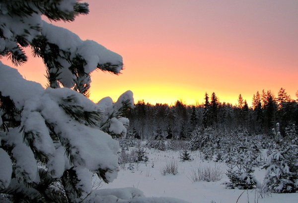 Зимняя Тайга закат