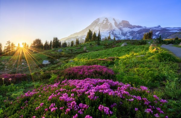 Альпийские Луга закат Швейцария