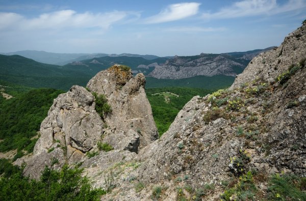 Байдарская яйла козел