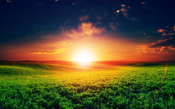 Природа солнце