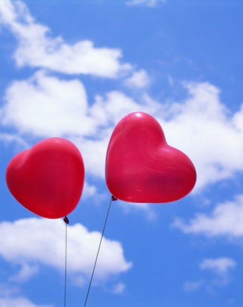 Я тебя люблю солнышко моё