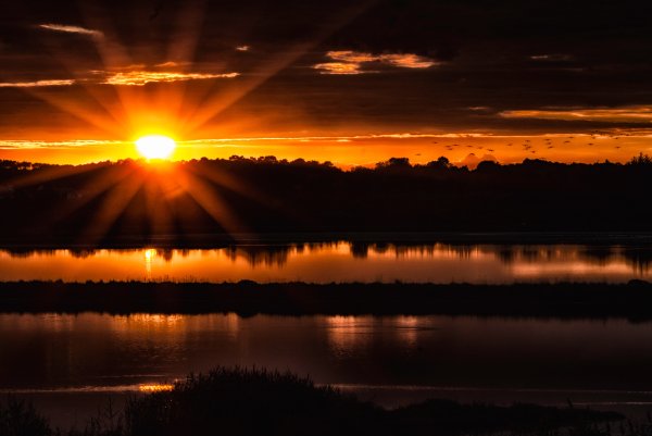 Природа закат