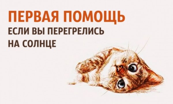 Перегрелся на солнце