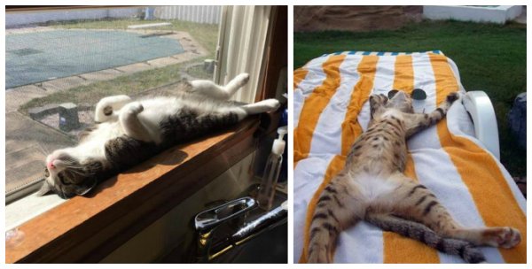 Солнечный удар