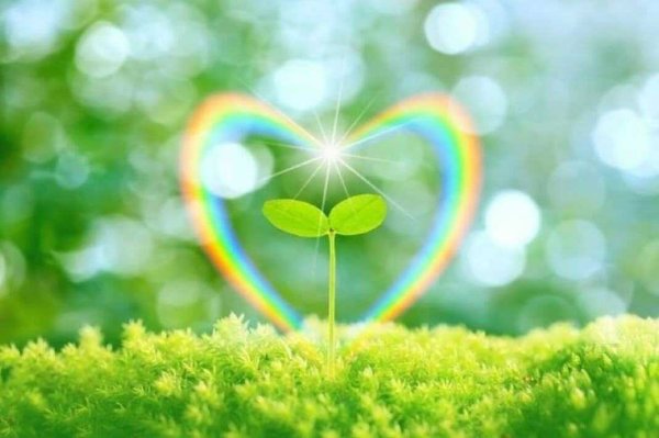 Гармония и радость