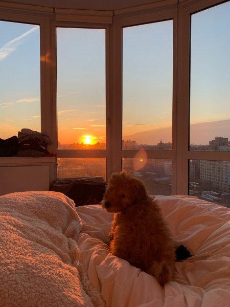Солнечное утро в окне