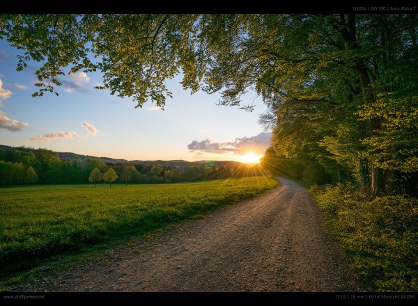 Природа дорога солнце