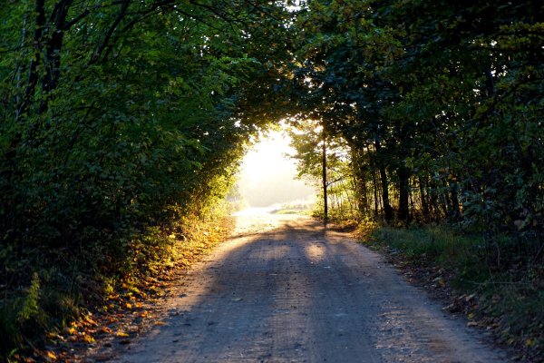 Солнечная дорога