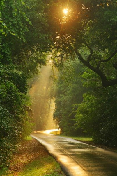 Солнечный свет дорога