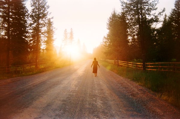 Дорожка в лесу