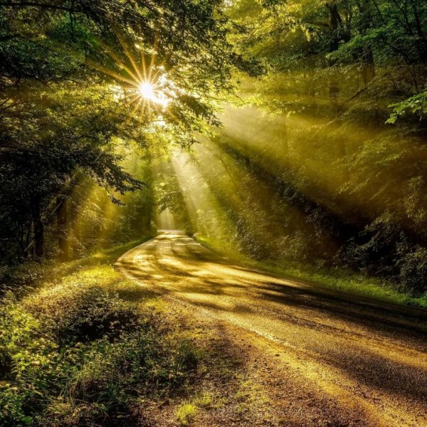 Солнце освещает путь