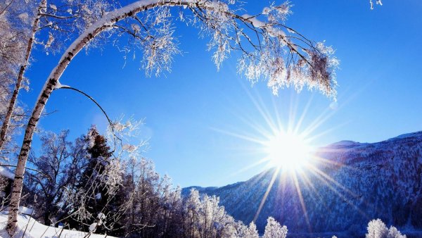 Зимнее утро