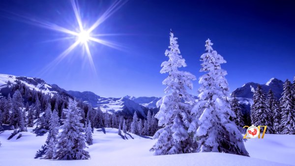 Зимний рассвет