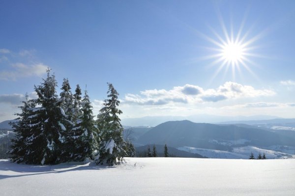 Зимнее утро фото