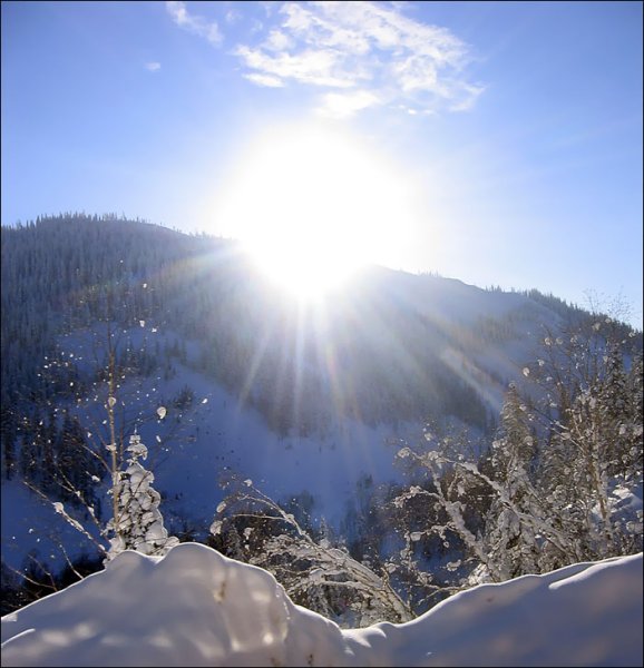 Солнце зимой