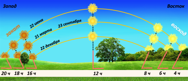 Пылевой и газовый хвост кометы