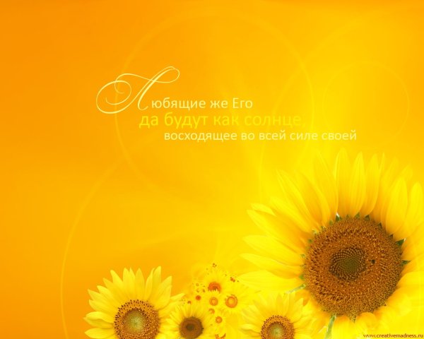 Позитивные открытки